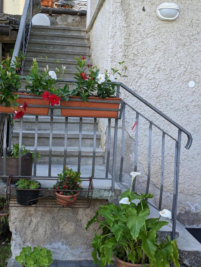 Appartement La Finestra Sul Brenta à Lasino Extérieur photo